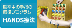 HANDS療法